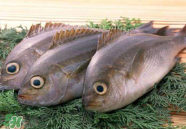 蠶豆和魚能一起吃嗎？蠶豆和魚吃相克嗎？