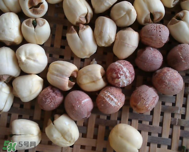 芡實不能和什么一起吃？芡實不能與什么同食？