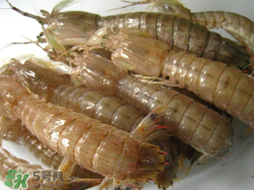 瀨尿蝦是皮皮蝦嗎？瀨尿蝦和皮皮蝦的區(qū)別