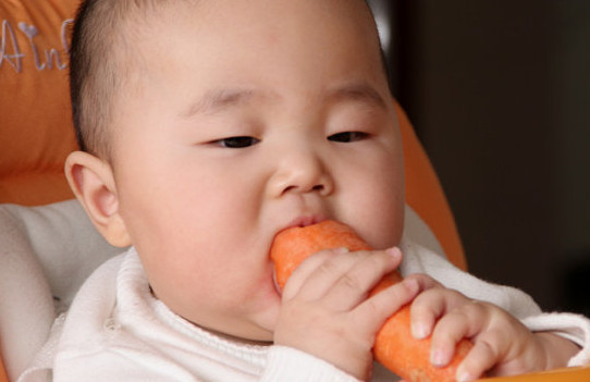 胡蘿卜與什么不能同食？胡蘿卜不能和什么一起吃