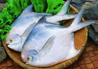 蠶豆和魚(yú)能一起吃嗎？蠶豆和魚(yú)吃相克嗎？