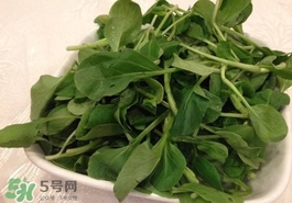 雞毛菜怎么做？雞毛菜的做法