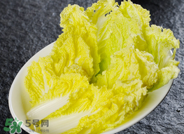 蠶豆和白菜能一起吃嗎？白菜和蠶豆能在一起吃嗎？