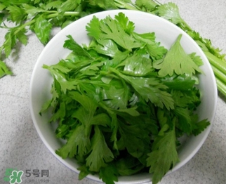 芹菜葉怎么吃？芹菜葉吃法