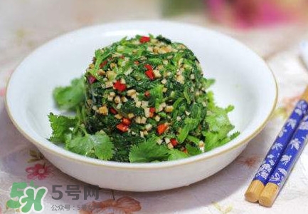 芹菜葉怎么吃？芹菜葉吃法