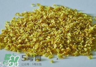 白枇杷花茶多少錢一斤？白枇杷花茶價格