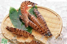 蝦爬子怎么扒皮？蝦爬子怎么剝殼？