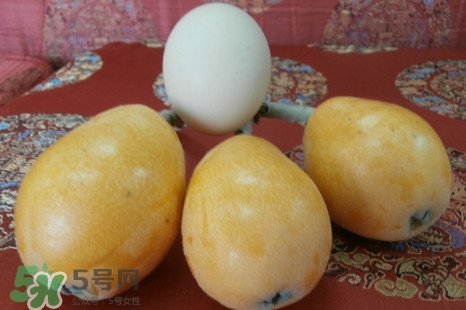 枇杷是什么季節(jié)的水果？枇杷什么季節(jié)吃