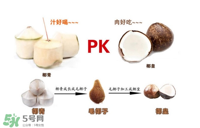 椰子怎么打開？椰子殼怎樣打開