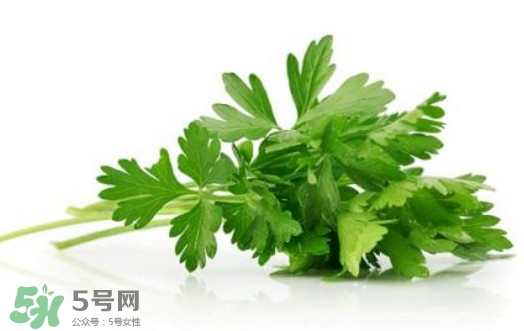 芹菜葉能吃嗎？芹菜葉可以吃嗎