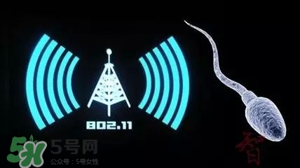 wifi殺精嗎？wifi殺精是真的嗎？