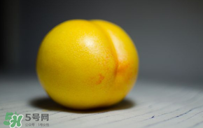 黃金油桃多少錢一斤？黃金油桃什么時(shí)候成熟？