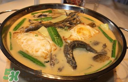 泥鰍怎么燒？泥鰍的吃法