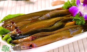怎么處理泥鰍？泥鰍怎么處理干凈