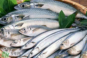 2017鲅魚(yú)多少錢一斤？鲅魚(yú)多少錢一斤2017？