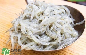 銀魚(yú)是面條魚(yú)嗎？面條魚(yú)和銀魚(yú)的區(qū)別