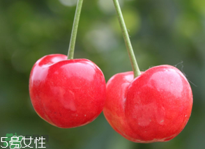 櫻桃籽有毒嗎？櫻桃籽能吃嗎？