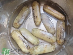 怎么樣讓蟶子吐沙？如何讓蟶子吐沙