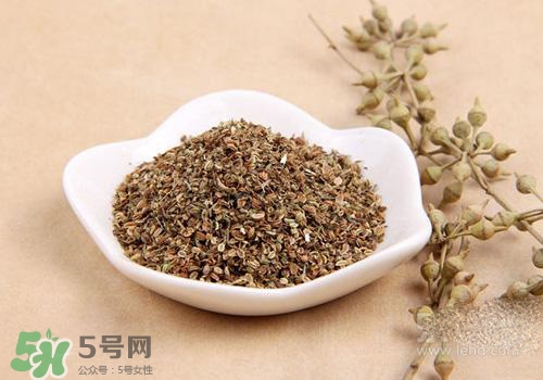 吃中藥可以吃魚？吃中藥吃魚會怎么樣？