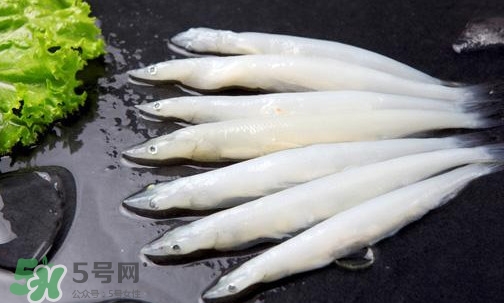 面條魚(yú)有刺嗎？面條魚(yú)有鱗嗎