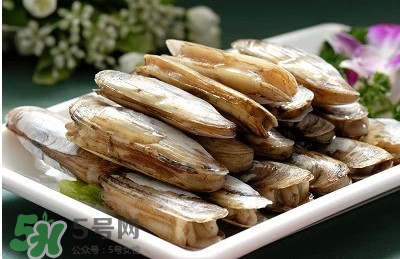 蟶子是海鮮嗎？蟶子是海鮮還是河鮮