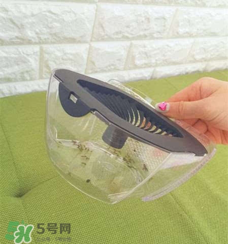 inadays滅蚊燈有用嗎？inadays滅蚊燈有效果嗎？