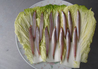 青島面條魚是什么魚？青島面條魚叫什么