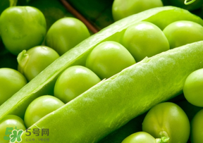 豌豆能放在冰箱嗎？豌豆放冰箱怎么保存？