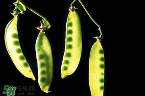 嫩豌豆能生吃嗎？為什么嫩豌豆可以生吃？