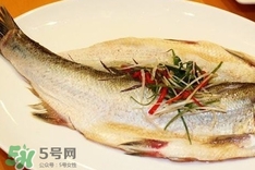 白條魚(yú)怎么做好吃？白條魚(yú)怎么吃好吃