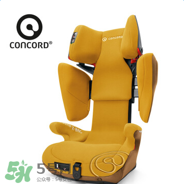 concord中文是什么？concord的中文名字怎么翻譯？