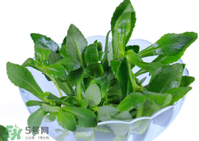 救心菜有毒嗎？救心菜怎么吃沒毒？