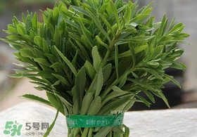 救心菜有毒嗎？救心菜怎么吃沒毒？