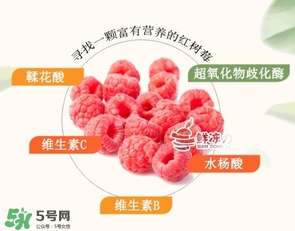 樹(shù)莓可以生吃嗎？樹(shù)莓怎么吃？