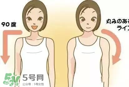 天鵝臂是什么？天鵝臂有用嗎