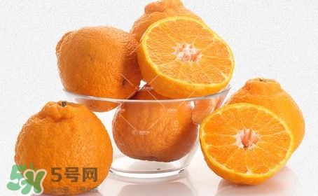 丑八怪水果多少錢一斤？不知火雜柑一斤多少錢