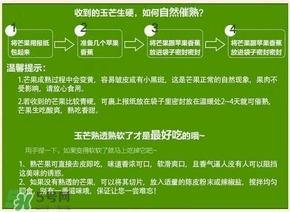 貴妃芒果硬的能吃嗎？貴妃芒果青的能吃嗎
