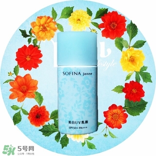 蘇菲娜藍(lán)蕾絲和藍(lán)小花哪個(gè)好？蘇菲娜藍(lán)蕾絲和藍(lán)小花對(duì)比