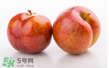 三華李孕婦可以吃嗎？三華李孕婦能吃嗎