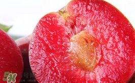 三華李是哪里的特產(chǎn)？三華李的產(chǎn)地是哪兒