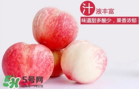 水蜜桃什么時候熟？水蜜桃成熟時間