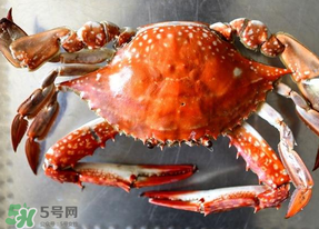 六月份有螃蟹嗎？六月份吃什么螃蟹？