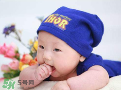寶寶可以吃小龍蝦嗎？多大的寶寶可以吃小龍蝦呢？