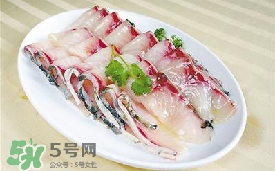 生魚是什么魚？生魚片是什么魚