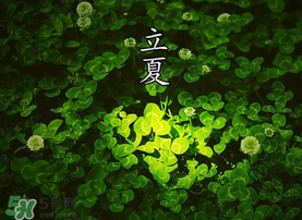 立夏吃什么水果？立夏吃什么水果好？