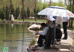 立夏好釣魚(yú)嗎？立夏怎么釣魚(yú)？