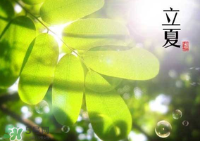 立夏和夏至有什么區(qū)別？立夏和夏至的區(qū)別