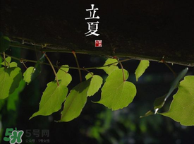 2017年立夏會(huì)下雨嗎？2017年立夏下雨好嗎？