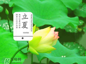 2017年立夏會(huì)下雨嗎？2017年立夏下雨好嗎？
