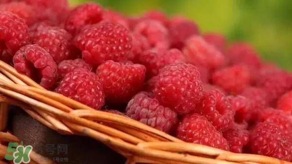 樹莓可以直接吃嗎？樹莓里的小籽能吃嗎？